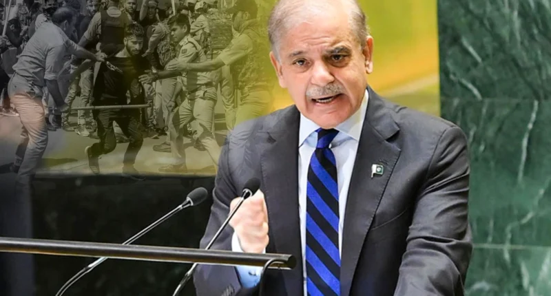 PM Shehbaz Sharif Warns of Decisive Response to Indian Aggression, Calls for Peace in Kashmir and Gaza at UN General Assembly